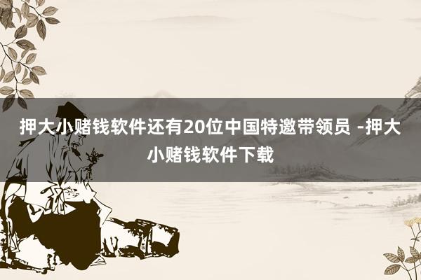 押大小赌钱软件还有20位中国特邀带领员 -押大小赌钱软件下载