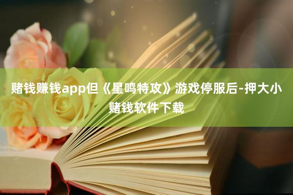 赌钱赚钱app但《星鸣特攻》游戏停服后-押大小赌钱软件下载