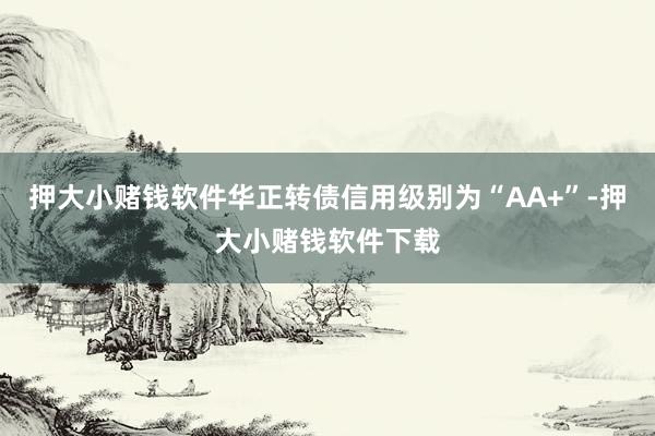 押大小赌钱软件华正转债信用级别为“AA+”-押大小赌钱软件下载