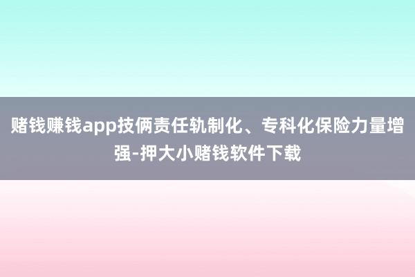 赌钱赚钱app技俩责任轨制化、专科化保险力量增强-押大小赌钱软件下载