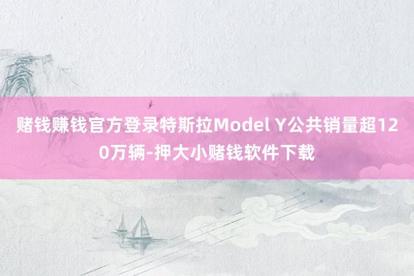 赌钱赚钱官方登录特斯拉Model Y公共销量超120万辆-押大小赌钱软件下载