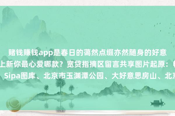 赌钱赚钱app是春日的蔼然点缀亦然随身的好意思好祈愿春季北京文创上新你最心爱哪款？宽贷指摘区留言共享图片起原：畅游公园、北京文博、Sipa图库、北京市玉渊潭公园、大好意思房山、北京艺术博物馆、云居寺石经博物馆、小红书@若曦-押大小赌钱软件下载