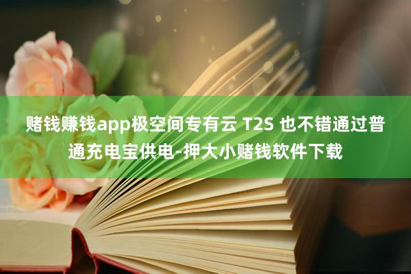 赌钱赚钱app极空间专有云 T2S 也不错通过普通充电宝供电-押大小赌钱软件下载