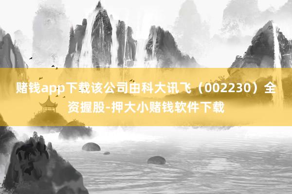 赌钱app下载该公司由科大讯飞（002230）全资握股-押大小赌钱软件下载