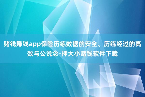 赌钱赚钱app保险历练数据的安全、历练经过的高效与公说念-押大小赌钱软件下载
