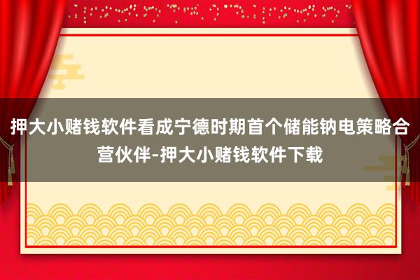 押大小赌钱软件看成宁德时期首个储能钠电策略合营伙伴-押大小赌钱软件下载