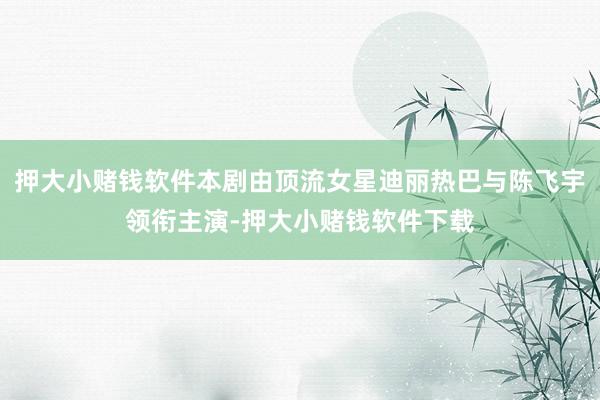 押大小赌钱软件本剧由顶流女星迪丽热巴与陈飞宇领衔主演-押大小赌钱软件下载