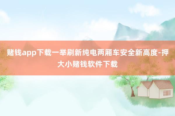 赌钱app下载一举刷新纯电两厢车安全新高度-押大小赌钱软件下载