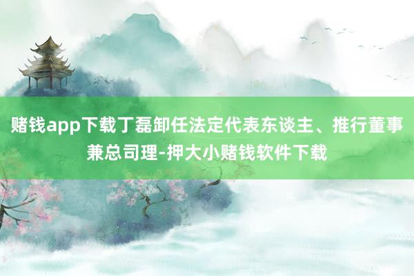 赌钱app下载丁磊卸任法定代表东谈主、推行董事兼总司理-押大小赌钱软件下载