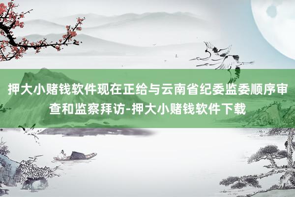 押大小赌钱软件现在正给与云南省纪委监委顺序审查和监察拜访-押大小赌钱软件下载