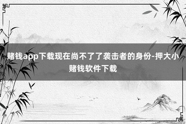 赌钱app下载现在尚不了了袭击者的身份-押大小赌钱软件下载