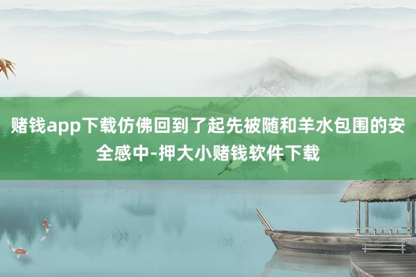 赌钱app下载仿佛回到了起先被随和羊水包围的安全感中-押大小赌钱软件下载