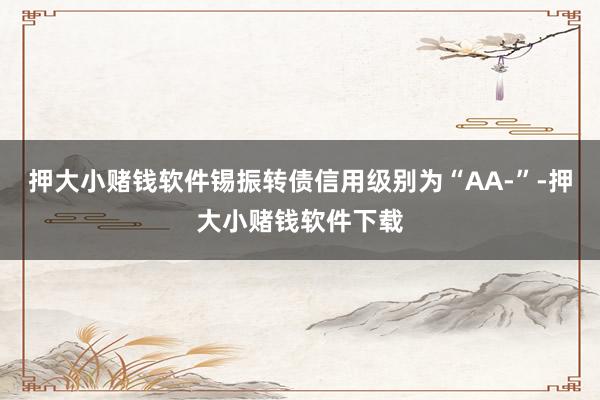 押大小赌钱软件锡振转债信用级别为“AA-”-押大小赌钱软件下载