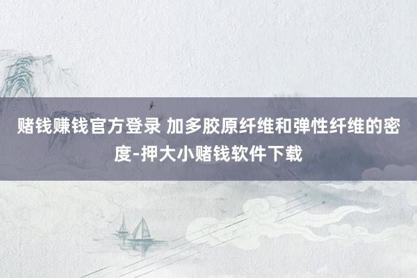 赌钱赚钱官方登录 加多胶原纤维和弹性纤维的密度-押大小赌钱软件下载