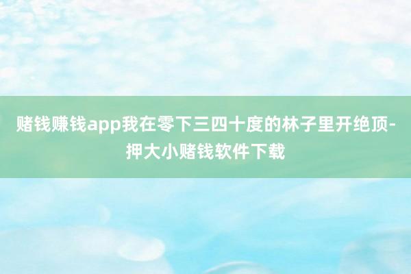 赌钱赚钱app我在零下三四十度的林子里开绝顶-押大小赌钱软件下载