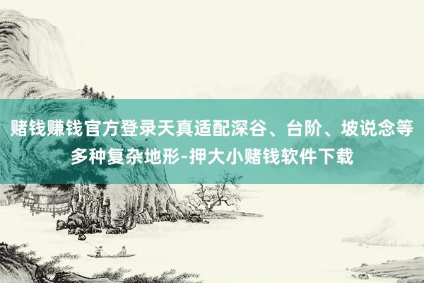 赌钱赚钱官方登录天真适配深谷、台阶、坡说念等多种复杂地形-押大小赌钱软件下载